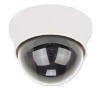 Dome Cameras