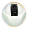 Arm Electronics Color Varifocal Mini Dome Camera